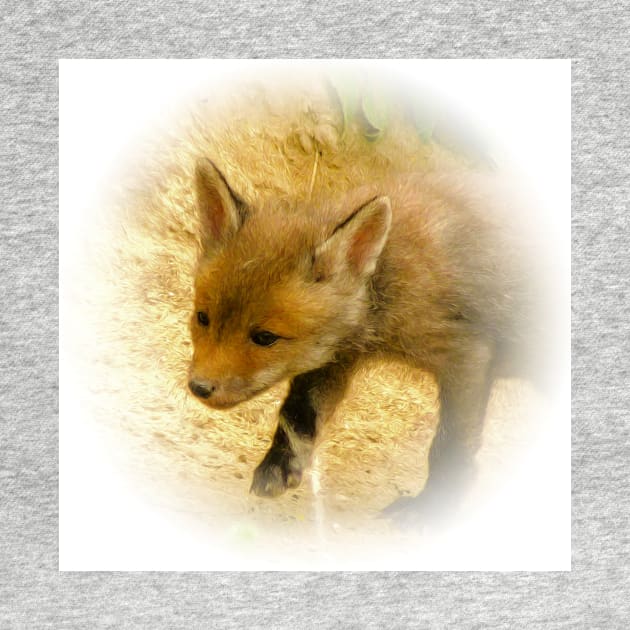 Red fox cub by Guardi